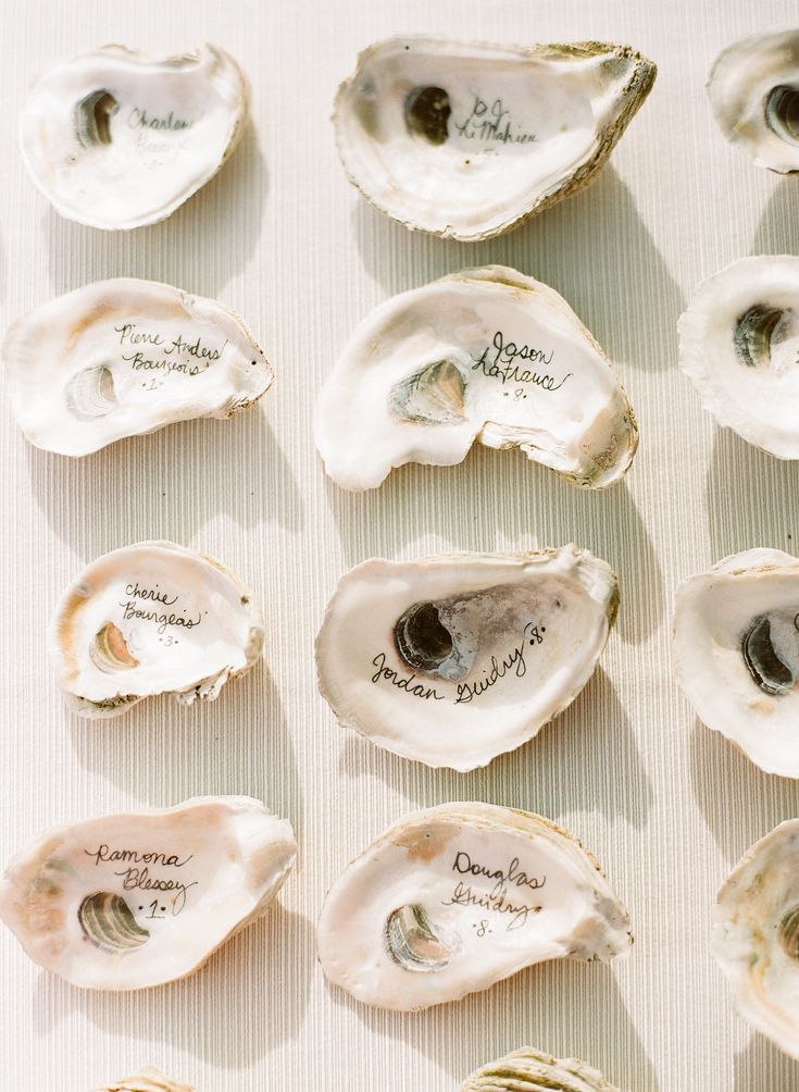 several oysters are shown with writing on them