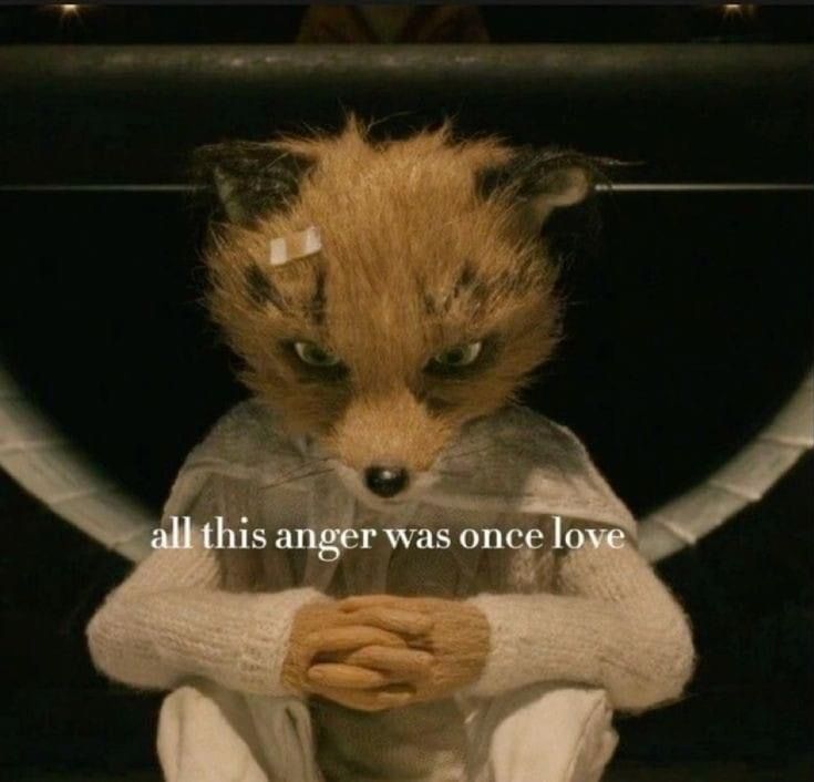 a stuffed animal sitting on top of a table next to a sign that says, all this anger was once love