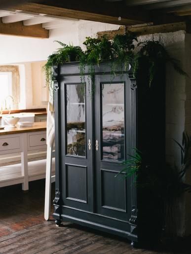 an armoire with plants growing on top of it