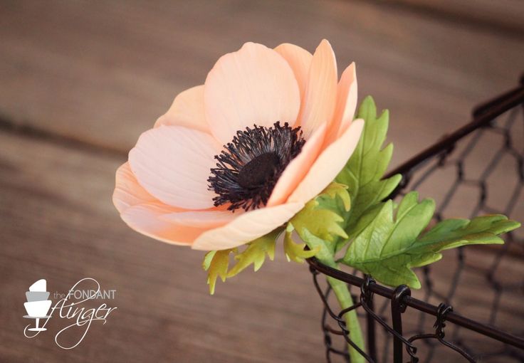 an orange and pink flower sitting on top of a wooden table next to a wire fence