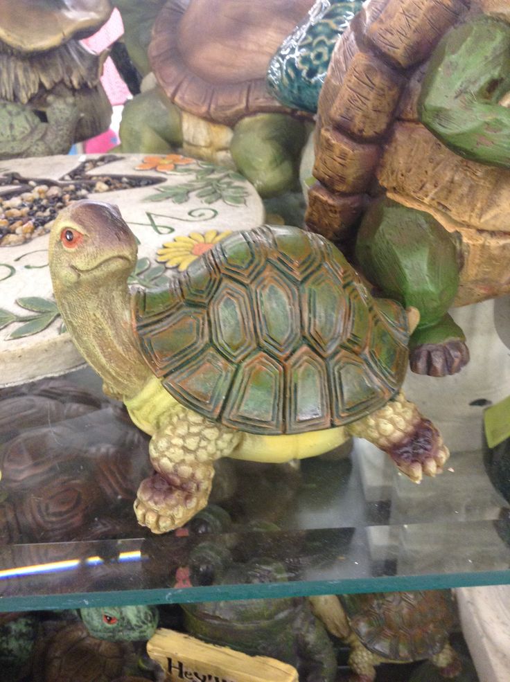 turtle figurines are on display in a glass case with other turtles behind them