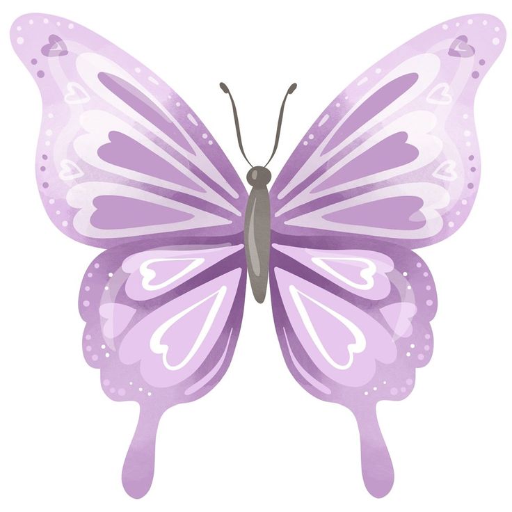 a purple butterfly on a white background