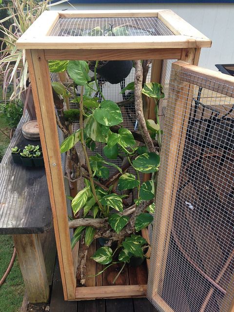 an outdoor area with some plants in cages on the ground and other items around it