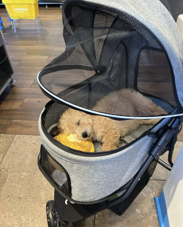 a small dog laying in the back of a stroller with its head inside it