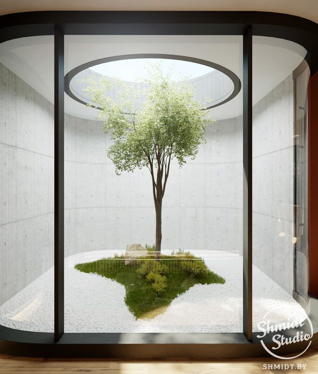 a tree is in the middle of a room with glass walls and an oval window