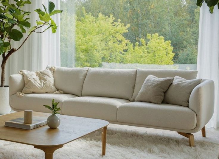 a living room with a couch, coffee table and potted tree in the corner