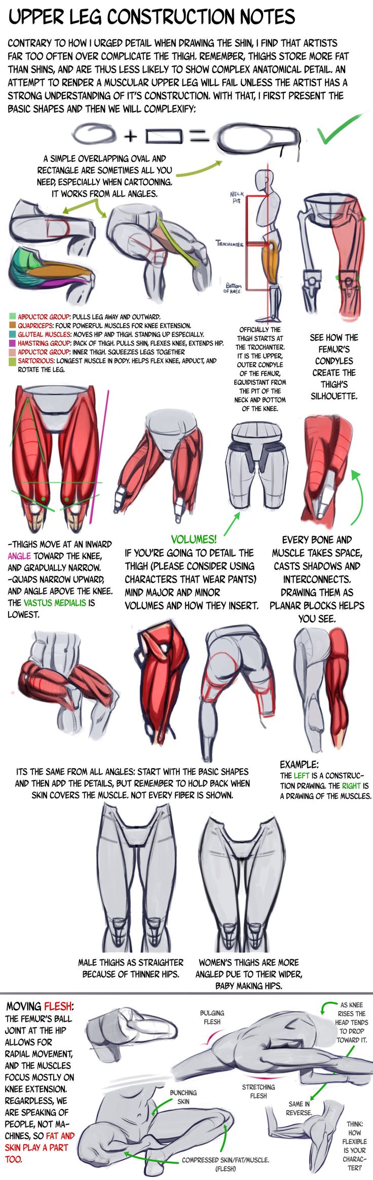 an illustrated diagram of the upper legs and lower leg muscles, with instructions on how to use them