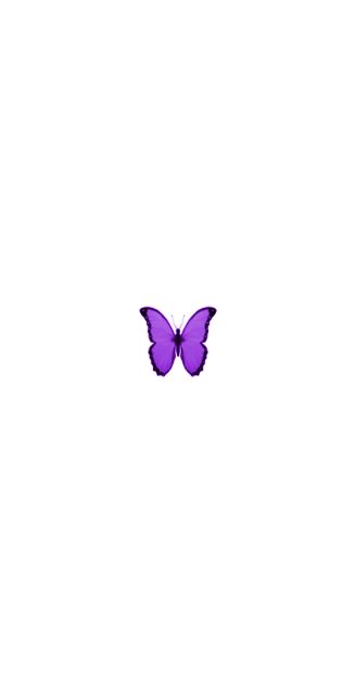 a purple butterfly flying through the air