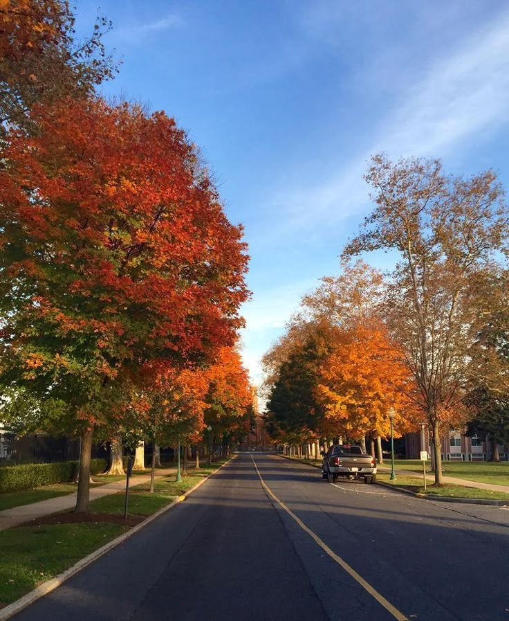 an empty street lined with trees in the fall