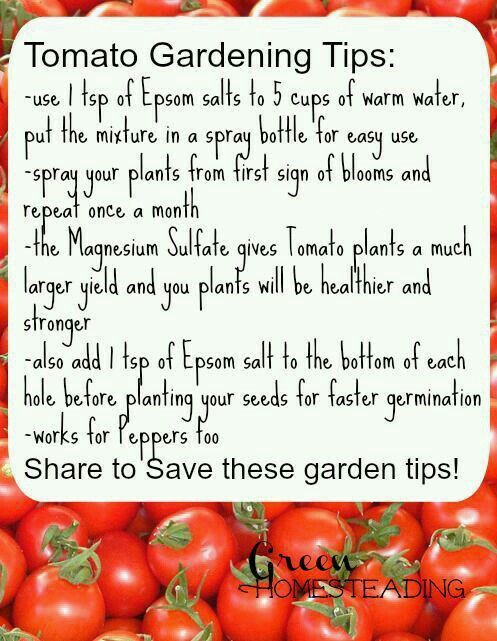 a pile of red tomatoes with the words tomato gardening tips written on it in black ink