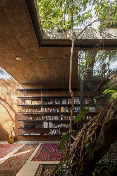 the interior of a house with bookshelves, plants and rugs on the floor