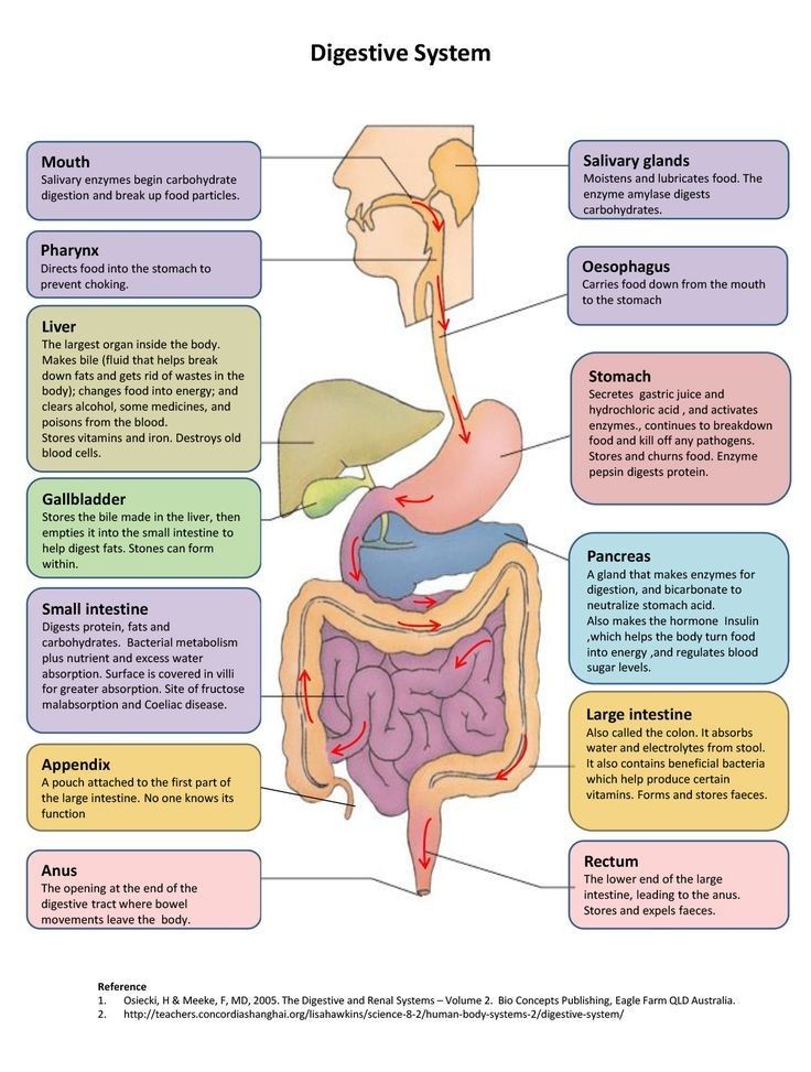 diagram of the digest system with labels