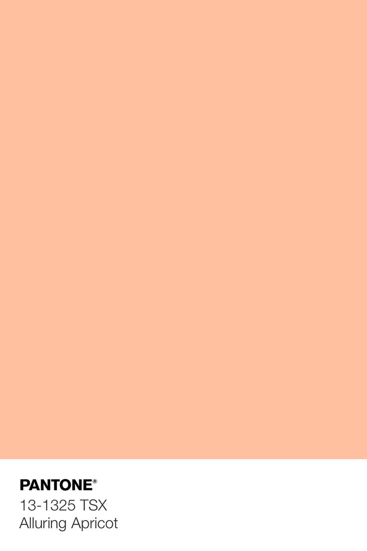 the pantone peach nectar color is shown