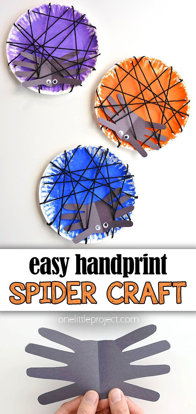 paper plate spider craft for kids that is easy to make and looks great on the wall