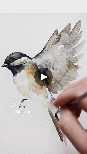 someone is drawing a bird with watercolors on paper