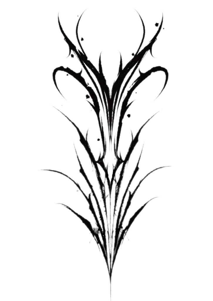 an artistic black and white drawing of some sort of plant with long, slender stems