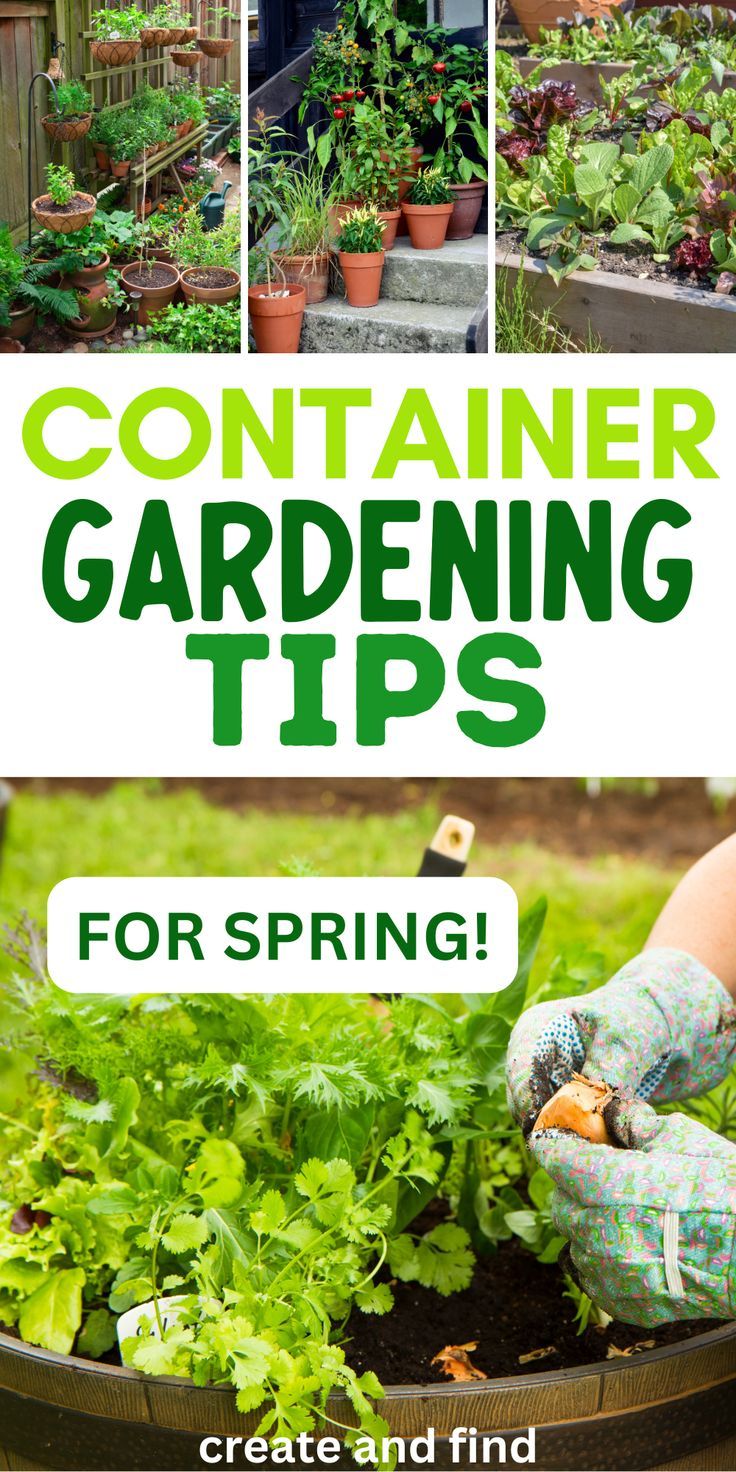 DIY spring container gardening tips for beginners. Veggie Garden Layout, Grow Your Own Vegetables, Diy Container, Gardening Tips For Beginners, Diy Container Gardening, Large Yard, Garden Layout, Veggie Garden, Spring Garden