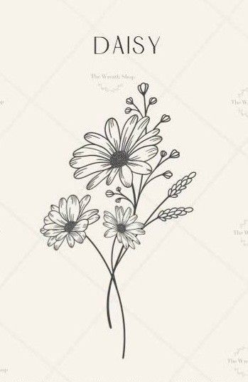 daisies on a white background with the words daisy written in black and white ink