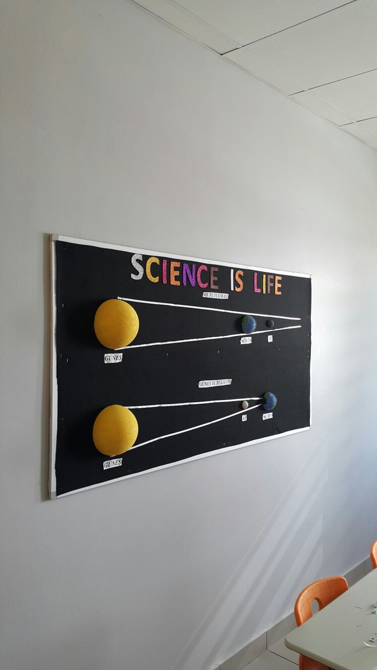 the science is life poster hangs on the wall next to an orange table and chairs