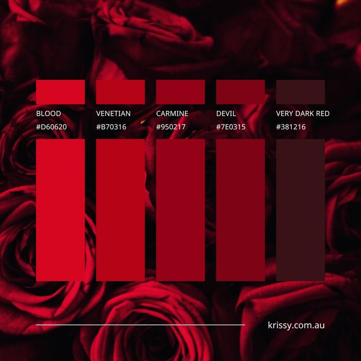 Multiple shades of red with hex codes The Color Red Meaning, Red Velvet Colour Palette, Red Boss Aesthetic, Red Colour Palette Aesthetic, Red Dark Color Palette, Red Black Color Scheme, Dark Red Color Pallete, Black Red Gold Color Palette, Alastor Color Palette