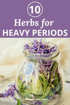 Menstrual Herbs, Menstrual Tips, Menstrual Tea, Period Remedies, Womb Health, Heavy Menstrual, Period Health, Heavy Periods, Herbal Tinctures