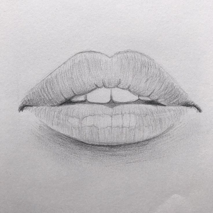 a pencil drawing of a woman's lips