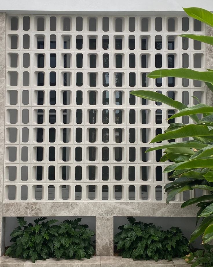 a white wall that has some plants in front of it