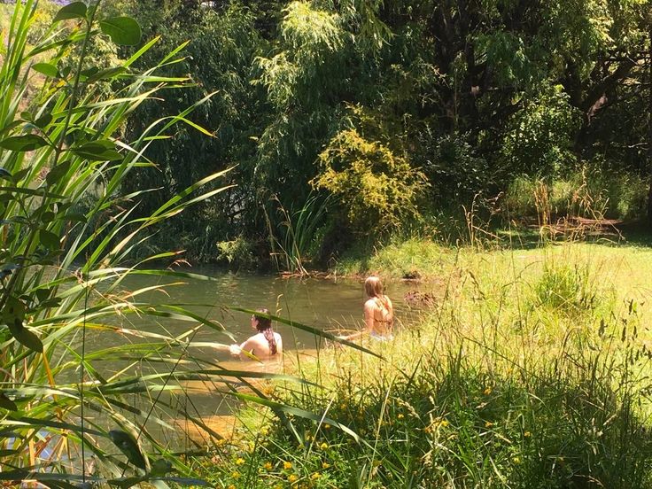 two people are wading in the water near some tall grass and trees, while another person is swimming