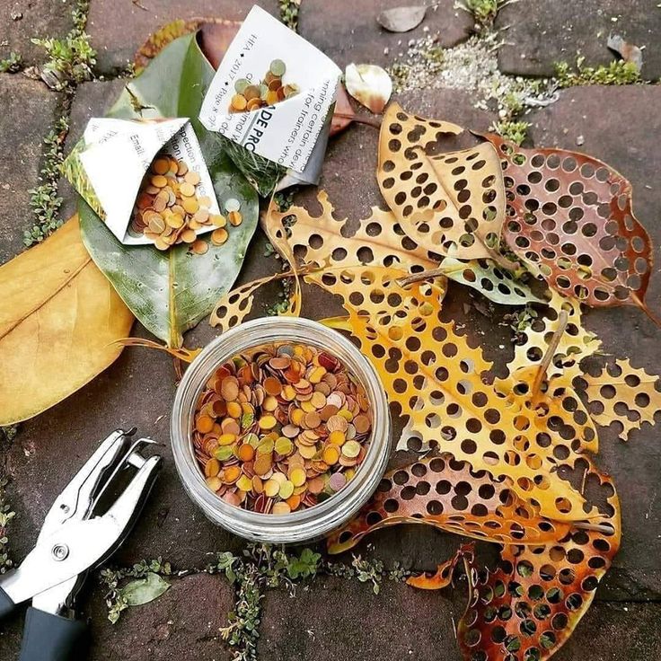 some leaves and scissors are laying on the ground next to something that looks like it has been cut