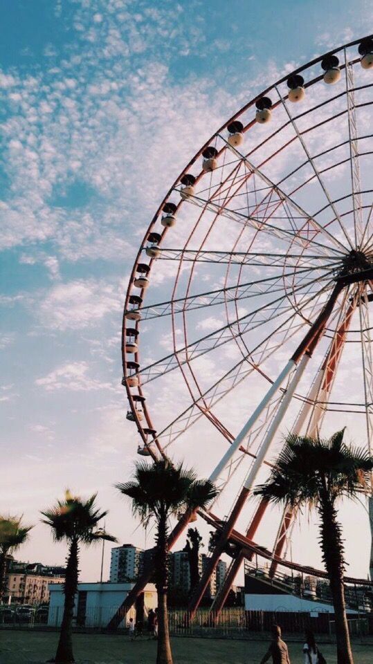 a ferris wheel with palm trees in the foreground