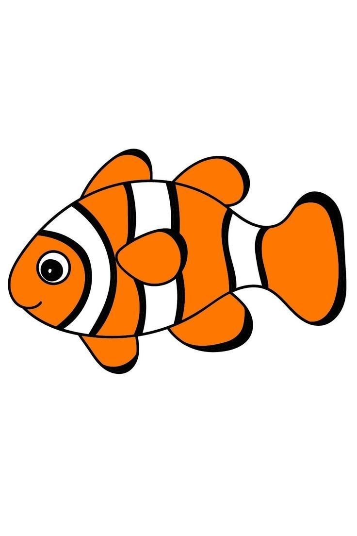 an orange clown fish with black and white stripes