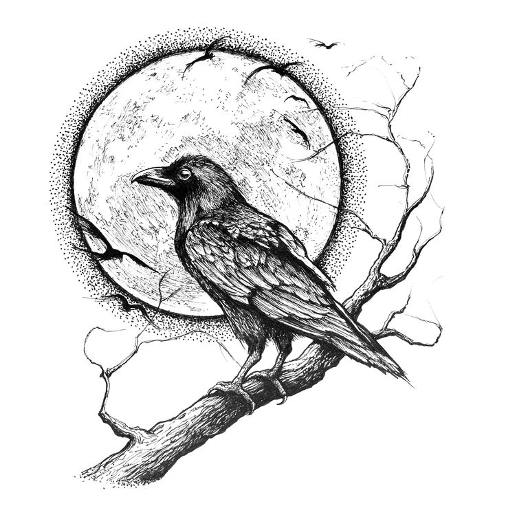 a black bird sitting on top of a tree branch in front of the full moon