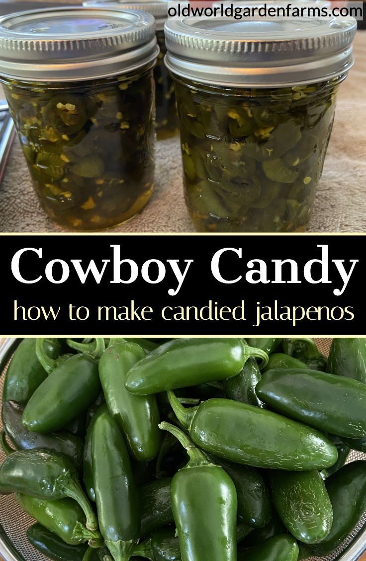 two jars filled with pickled green peppers and the words cowboy candy how to make candied jalapenos