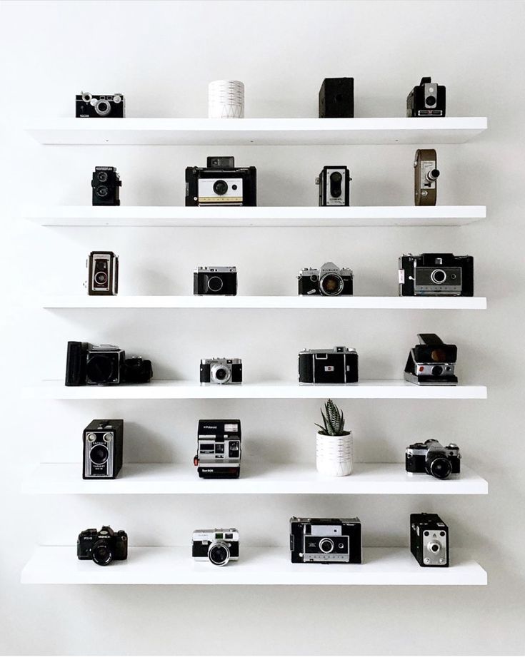 white shelves with cameras and books on them