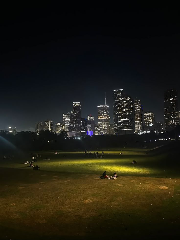 people are sitting on the grass in front of some tall buildings at night with bright lights