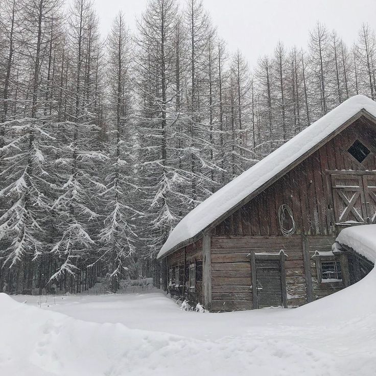 a cabin in the middle of a snowy forest