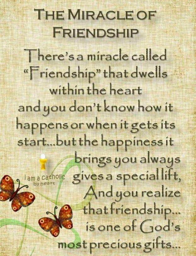 a quote with butterflies on it that says,'the miracle of friendship there's a