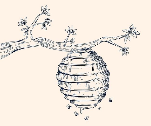 a drawing of a beehive hanging from a tree branch