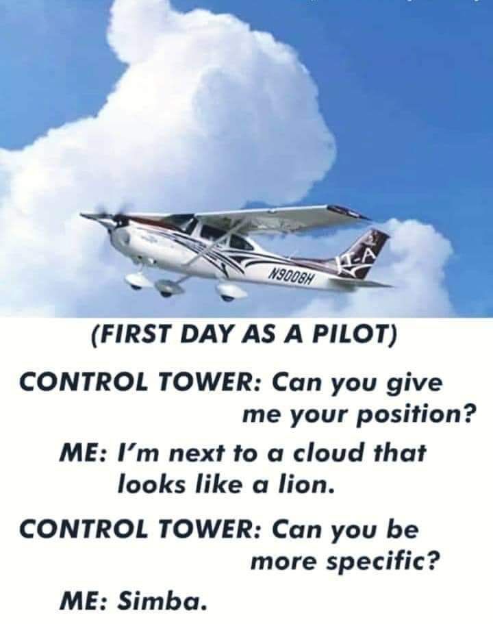 an airplane flying in the sky with a poem below it that reads, first day as a pilot control tower can you give me your position? me i'm'm next to a cloud that looks like a lion