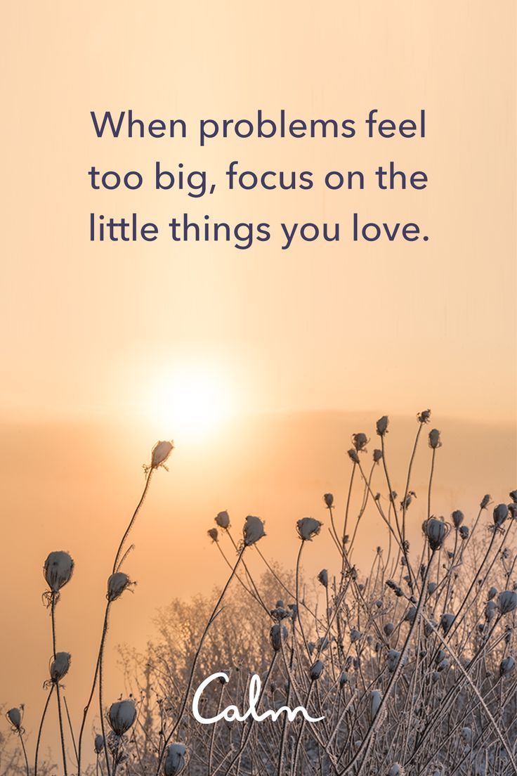 the sun is setting behind some flowers with a quote on it that says, when problems feel too big focus on the little things you love