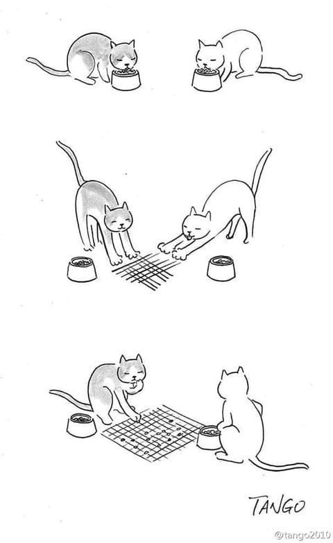 three cats are eating out of bowls and one cat is sitting on the floor with its paws