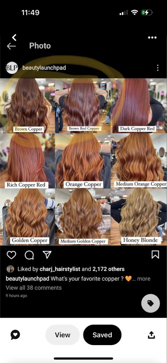 Copper Shades Hair, Copper Dye On Brown Hair, Different Types Of Ginger Hair, From Brown To Copper Hair, Different Copper Hair Colors, Brown Hair To Ginger, Shades Of Ginger Hair Chart, Ginger Hair On Brown Hair, Copper Hair Glaze