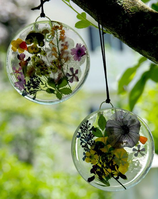 two hanging glass vases filled with flowers on a tree branch