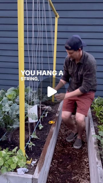 a man kneeling down in front of a garden bed with plants growing out of it