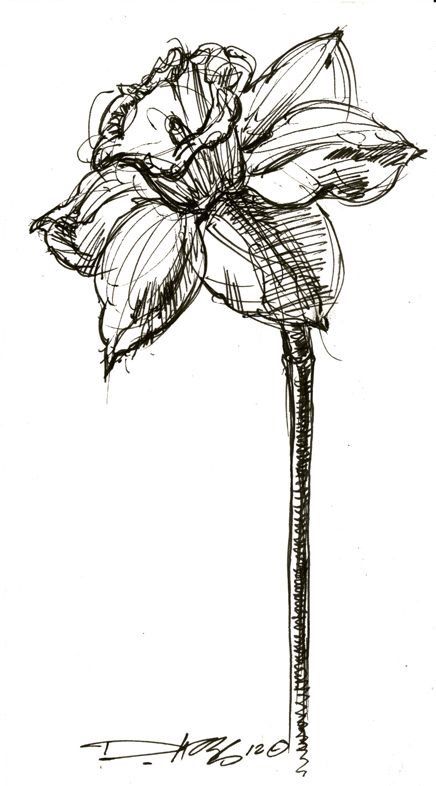 a black and white drawing of a flower