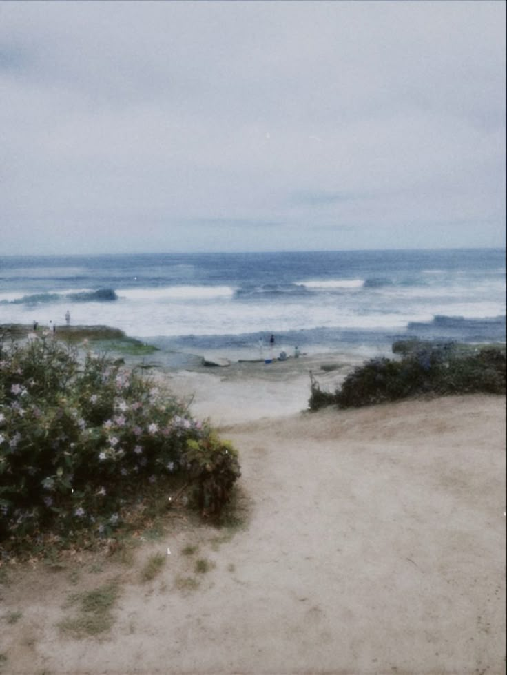 an empty path leading to the beach with flowers growing on it and waves crashing in the background