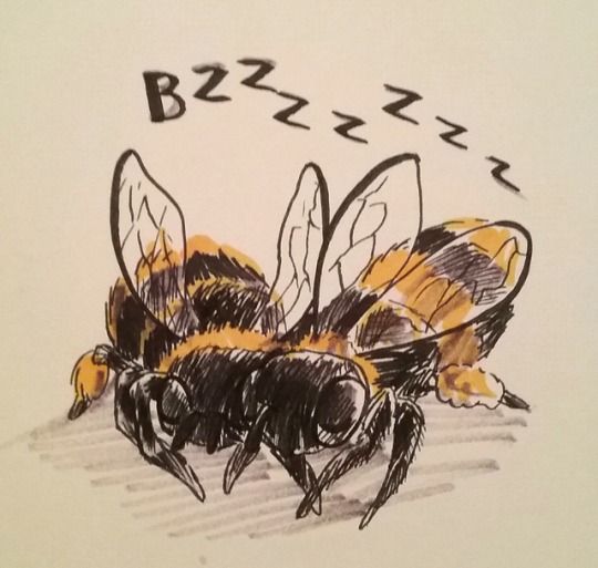 two bees sitting next to each other on top of a white sheet with the words beezz written above them