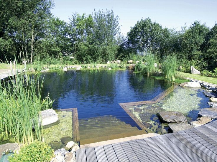 a small pond surrounded by rocks and grass