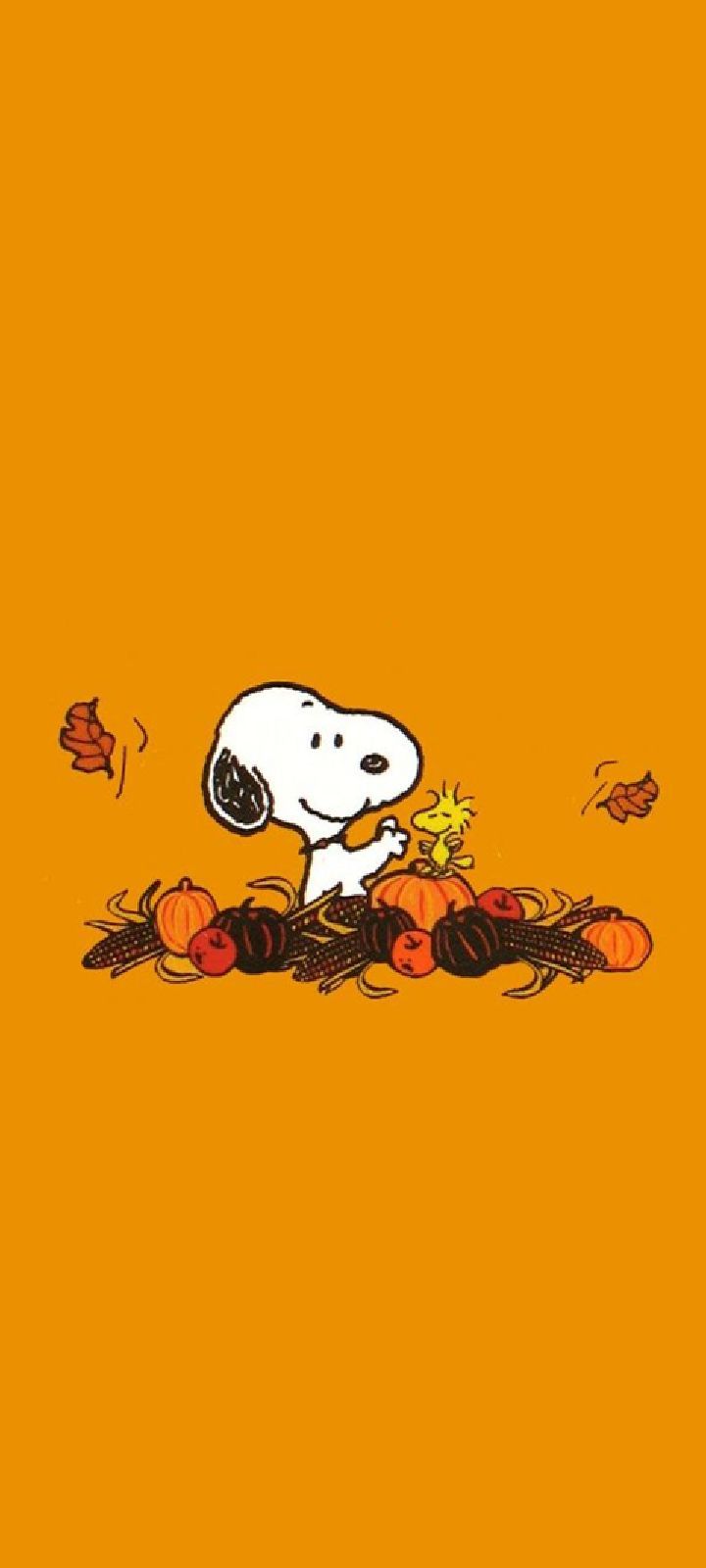 a charlie brown thanksgiving wallpaper with pumpkins, leaves and a dog holding a star