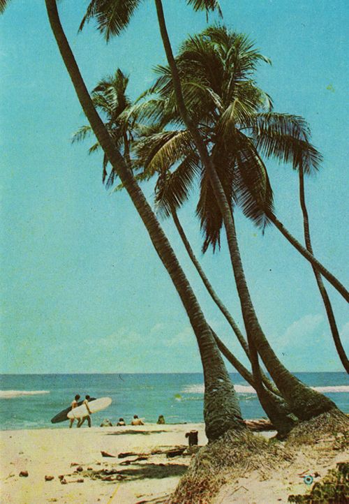 two palm trees on the beach with surfers in the water and people carrying surfboards